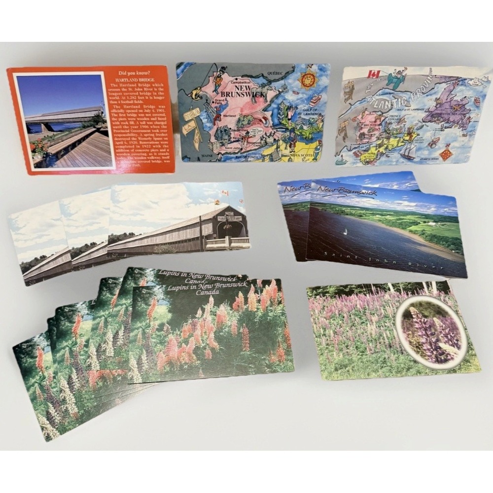 VTG Postcard LOT Canada Village Towns Bridge Brunswick Staging Old Postcards